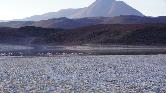 San Pedro de Atacama - Tag 3