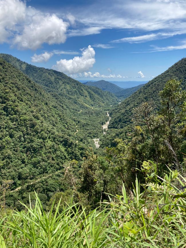 Manu Nationalpark