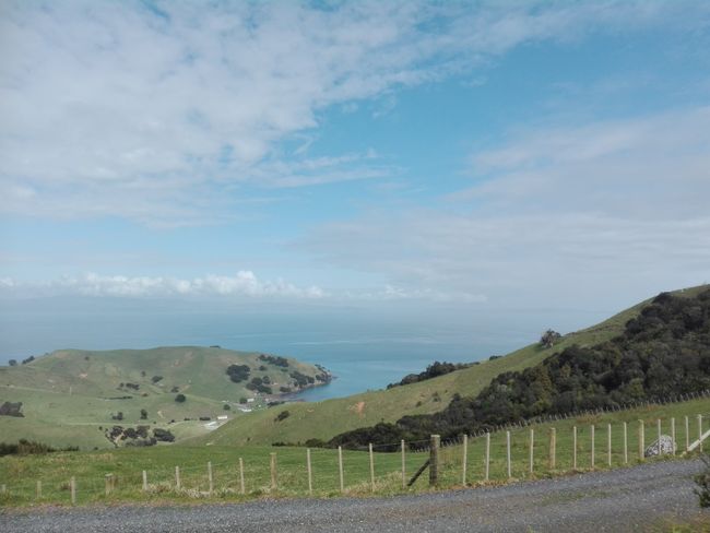 Coromandel - finally out of Auckland