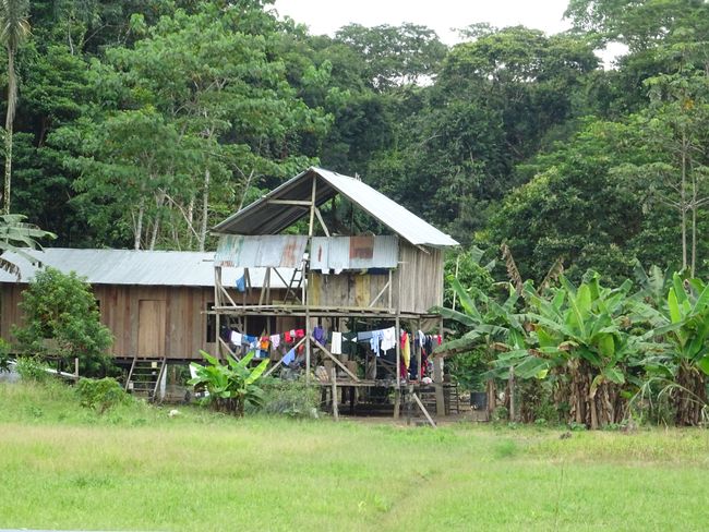 Hütte der indigenen Bevölkerung im Reservoit