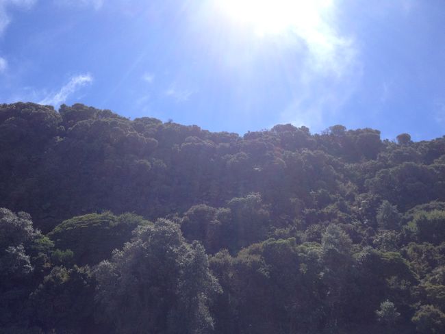 Costa Rica vacation