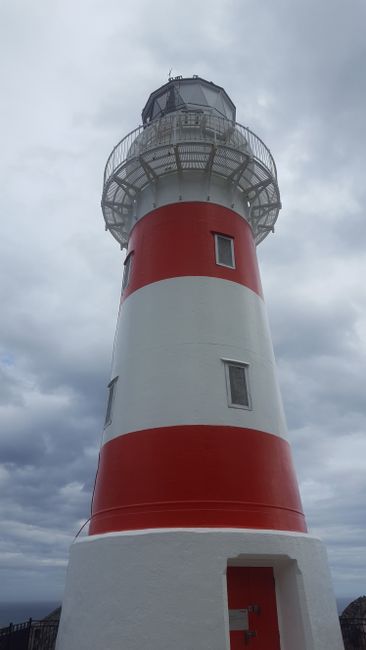 Southernmost point of the North Island: Cape Palliser
