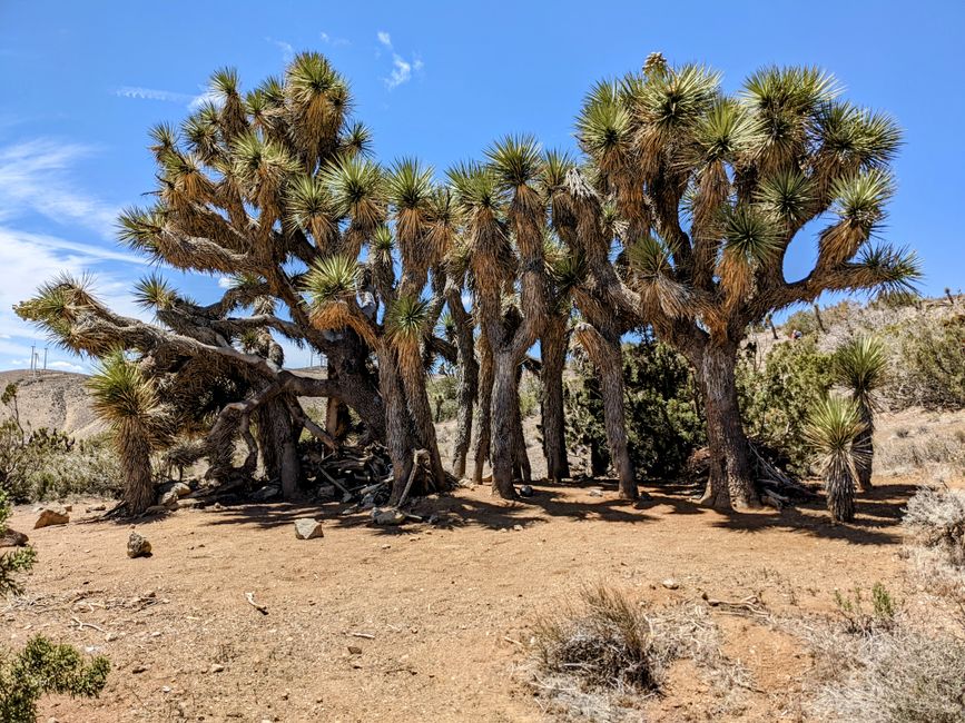 Letsatsi la 34-40: Kennedy Meadows, Gateway to the Sierras