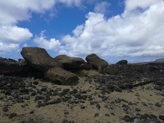 Umgeworfene Moai in Akahanga