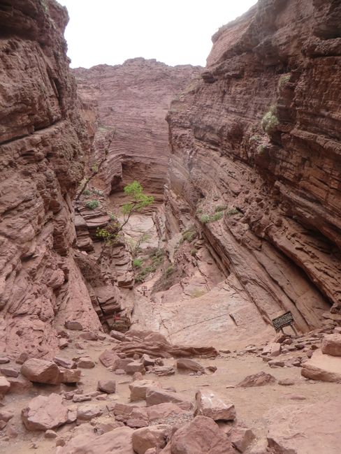 Salta, Cafayate und die Regenbogenfelsen