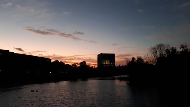 The campus with the library in the evening.
