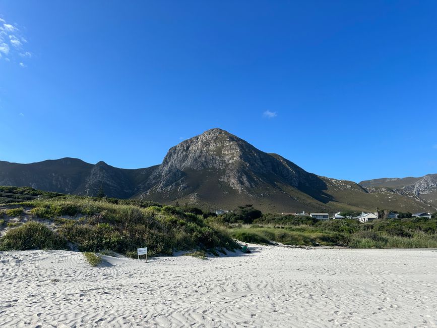 Hermanus ♥️