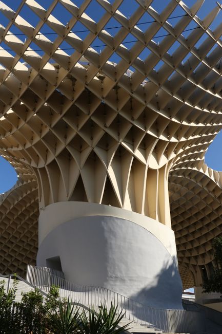 The 'Metropol Parasol' is like an oversized mushroom and the new landmark of the city