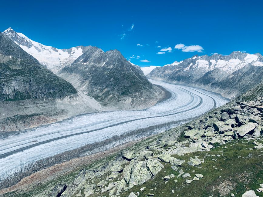 The Aletsch as it still is (and lives)
