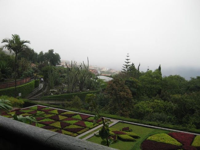 Blumeninsel im Atlantik - Madeira