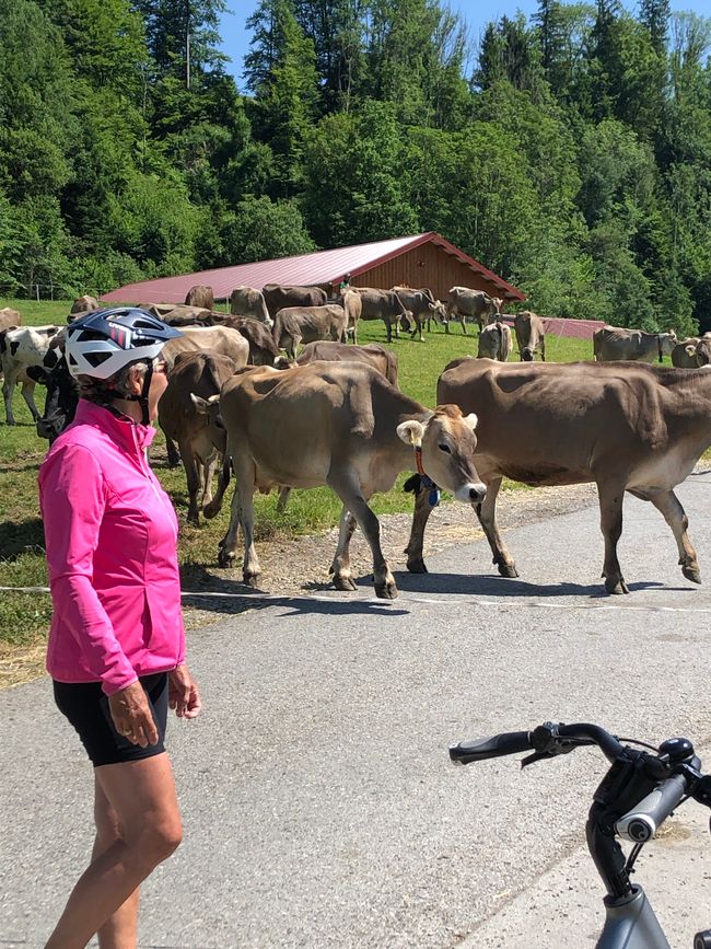 Allgäu (Juni 2023)