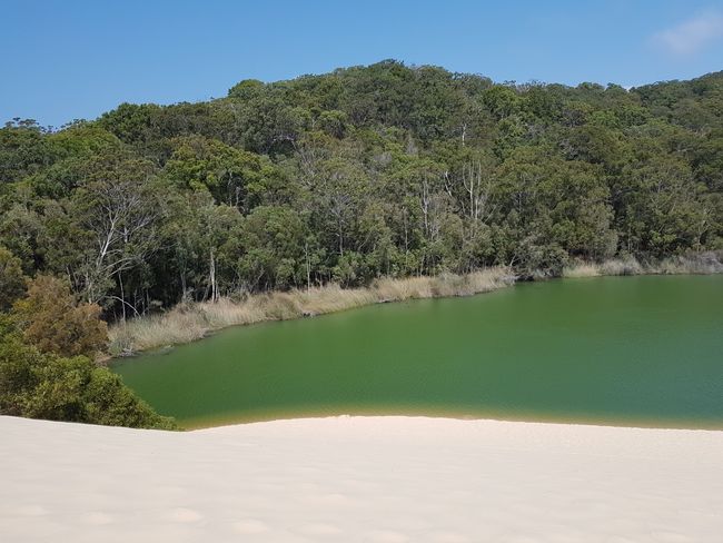 Lake Wabby Fraser Island