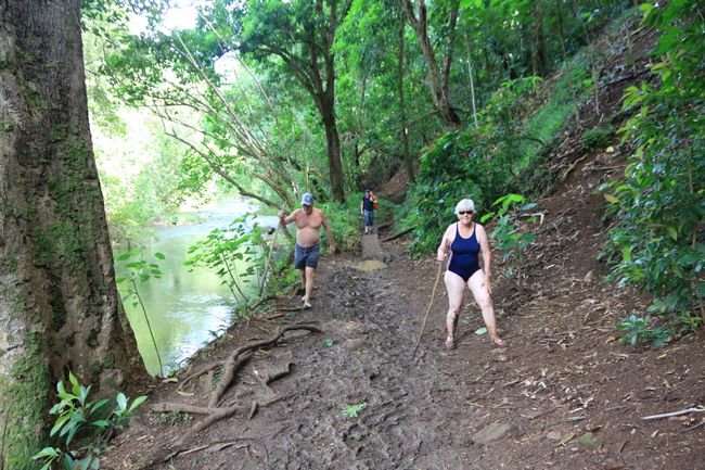 The mud fight at Wailua Falls