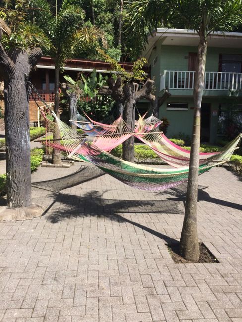 Hammock paradise at Santa Elena Hostel