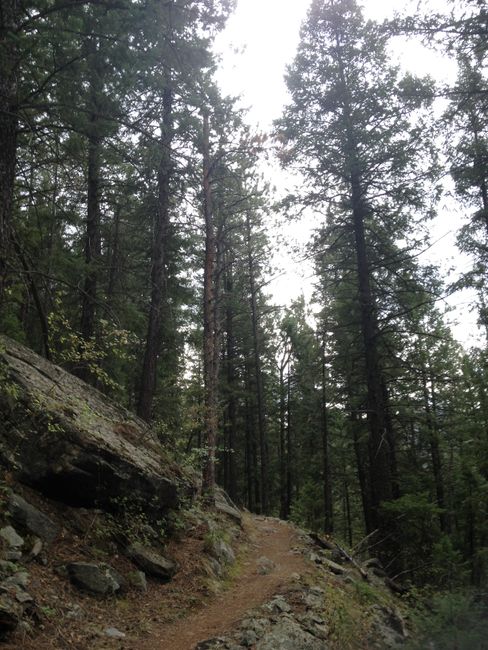 Randonnée Ouest : Colorado Trail