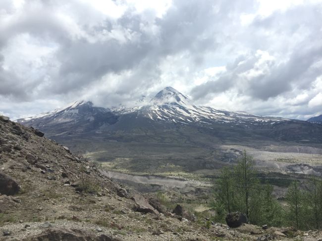 View of Mount Saint Helens from Johnston Ridge Observatory (north side)