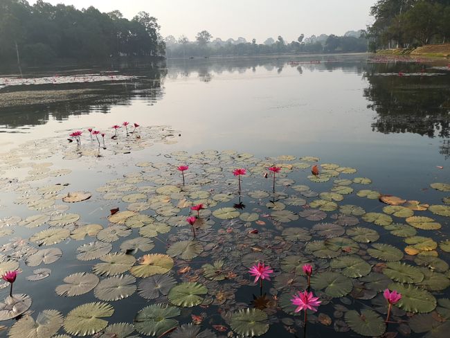 Lake around Angkor Wat