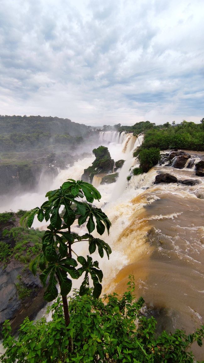 Iguazú - 3rd day