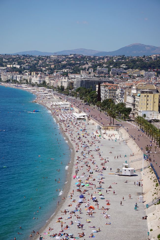 Getting to know nice Nice