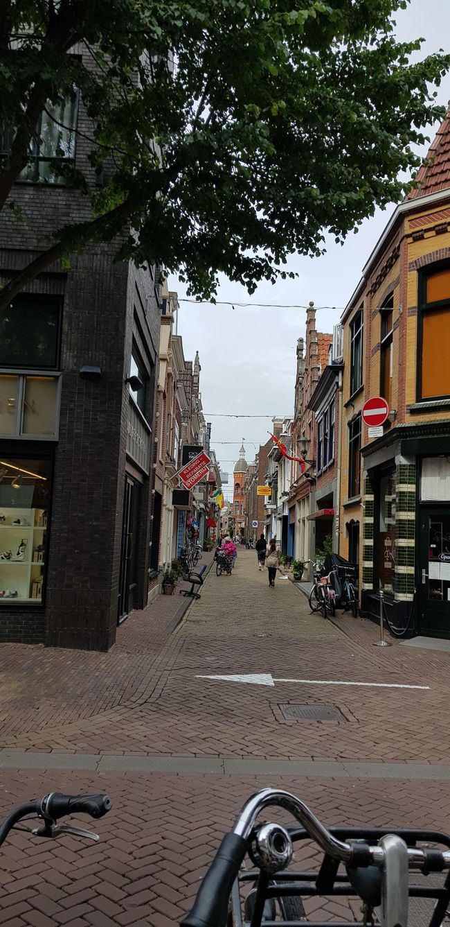 Alkmaar (NL)