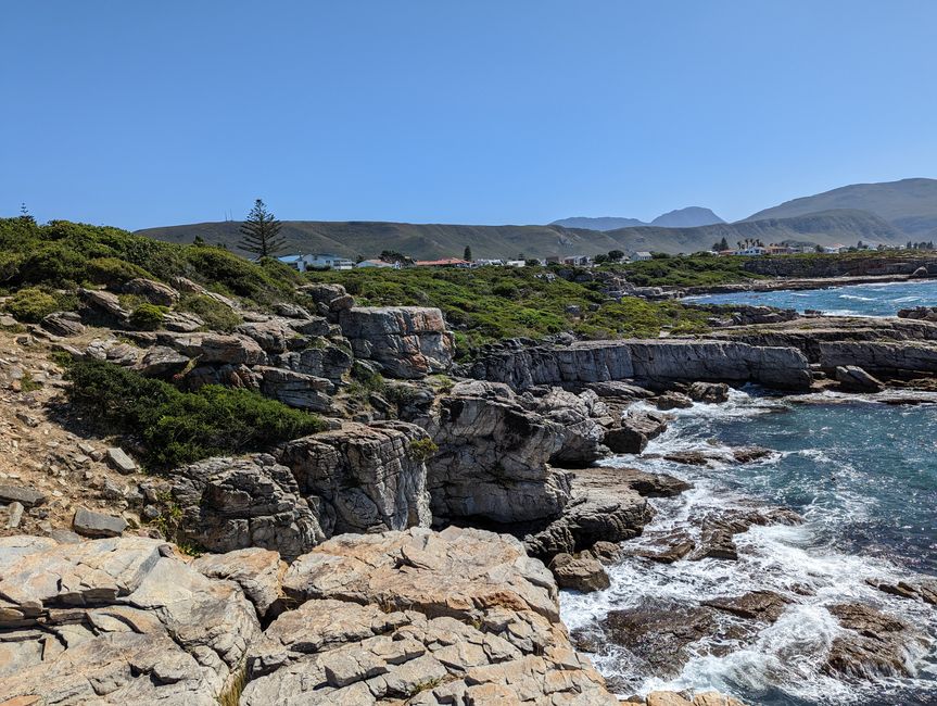 Hermanus