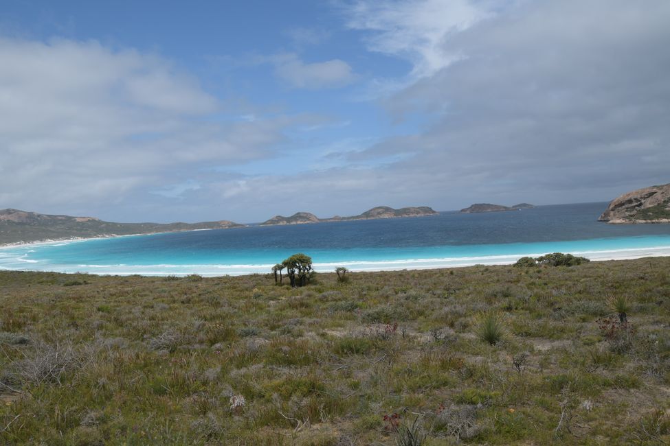 Lucky Bay in Cape Le Grand NP