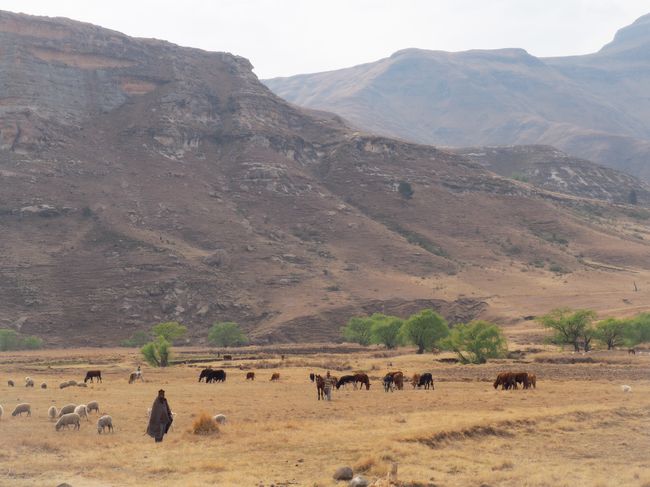 Kingdom of Lesotho - Das Dach Afrikas