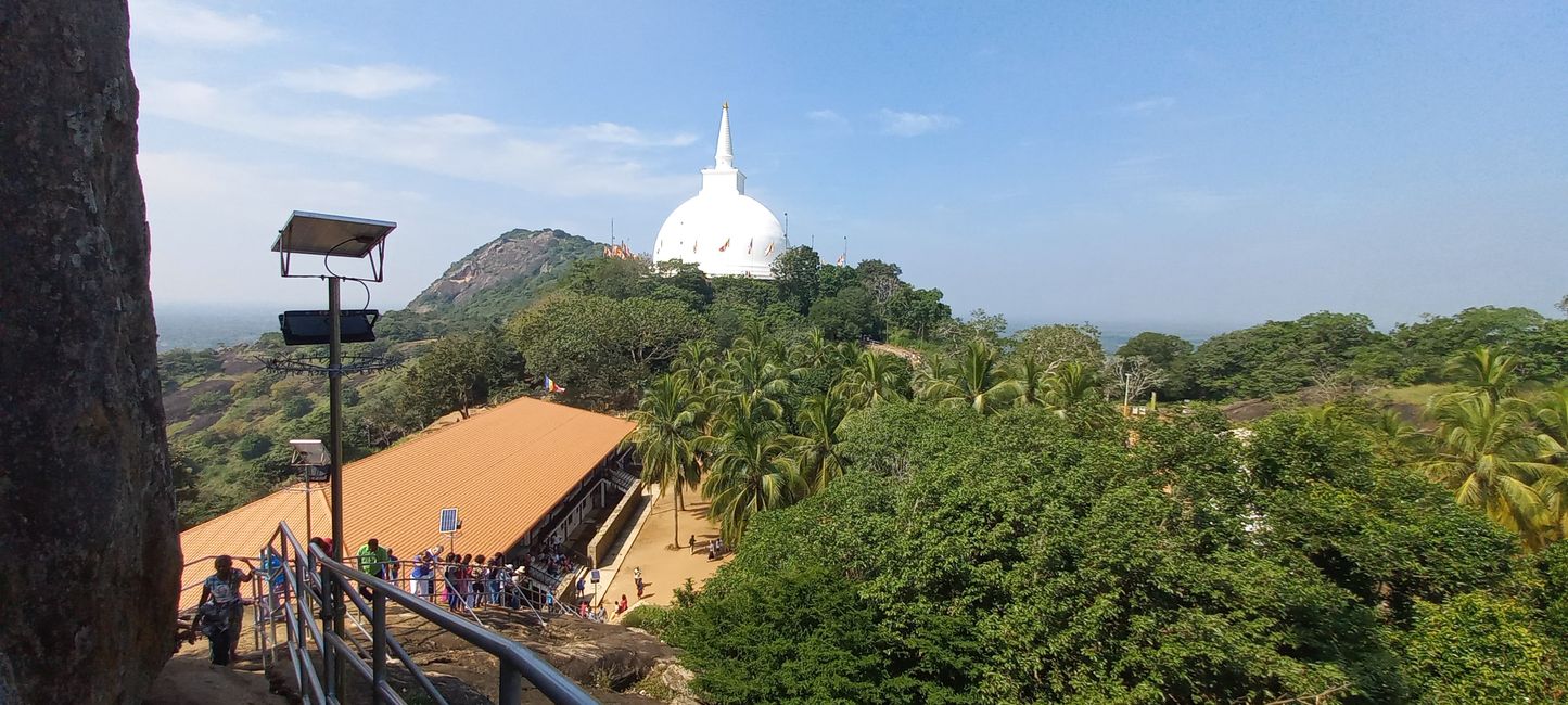 Anuradhapura - Day 2 - 12.02.23