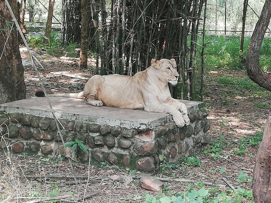 I-Banaghata Zoo kunye neSafari