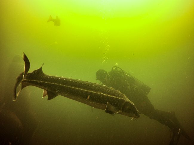 Tag 58 - NaturaGart Underwater Park in Ibbenbüren