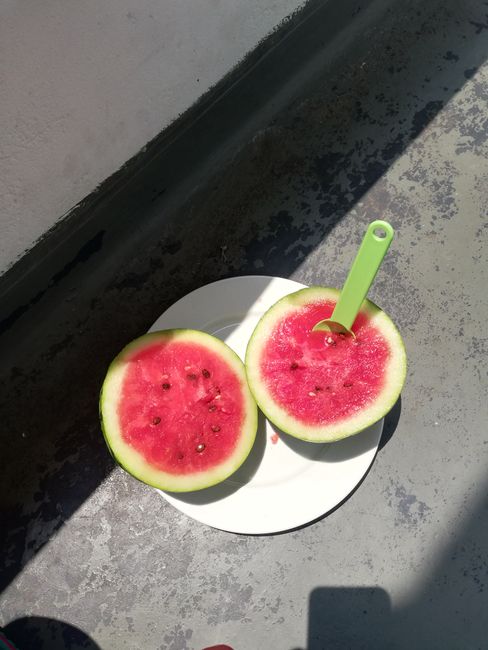 frische Melone