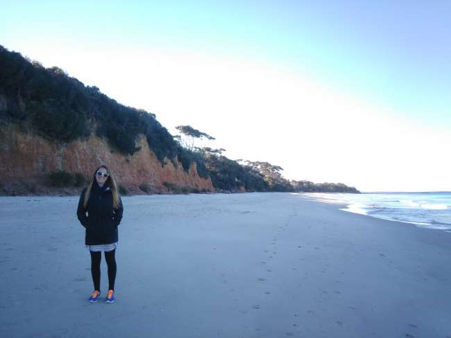 White Sands Walk - Dolphins