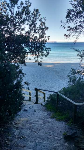 White Sands Walk - Dolphins