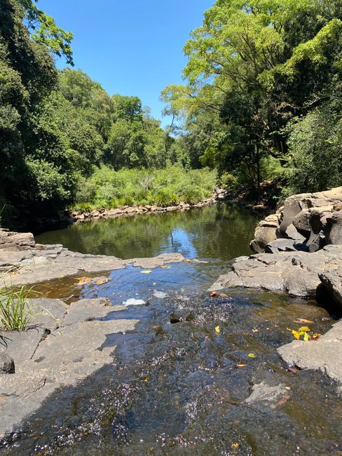 12|11|2019, Entlang Wasserfälle und dem Wildleben Australiens