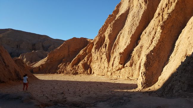 San Pedro de Atacama or The Desert Lives!