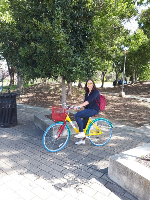 Google Bike 