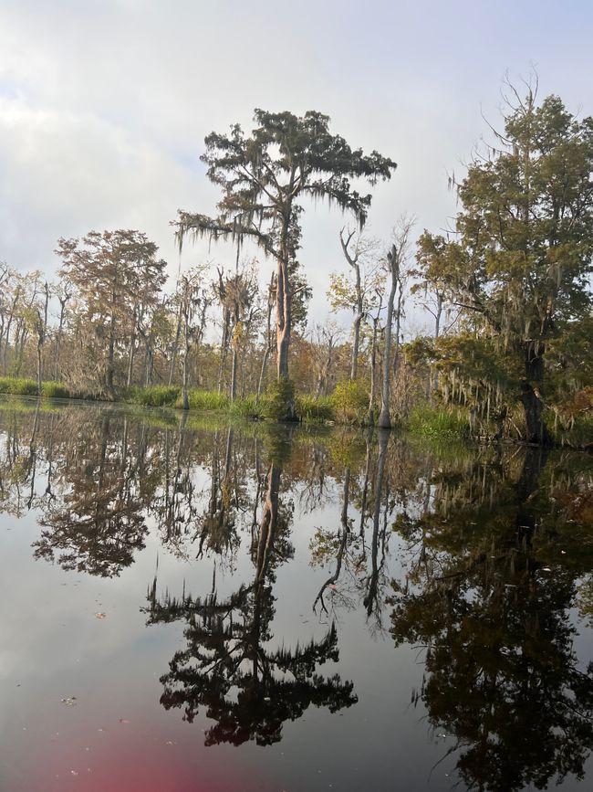 Wildes Louisiana