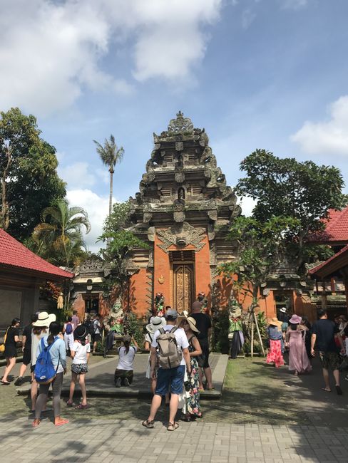 Ubud Tour