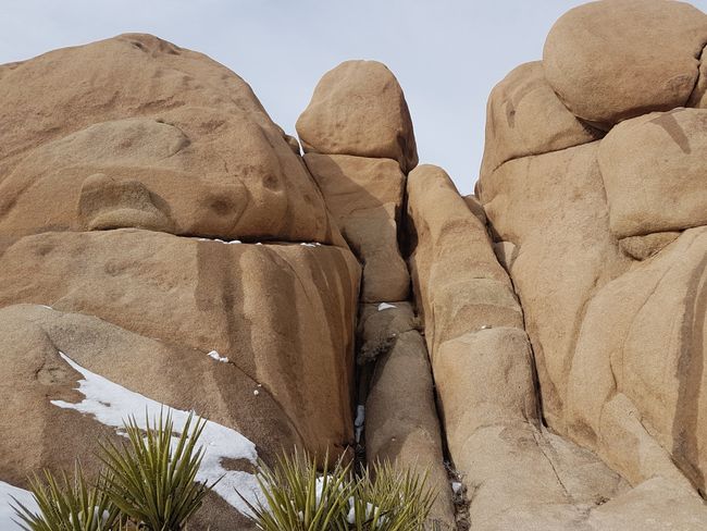Skiing and sledding are good in Joshua Tree