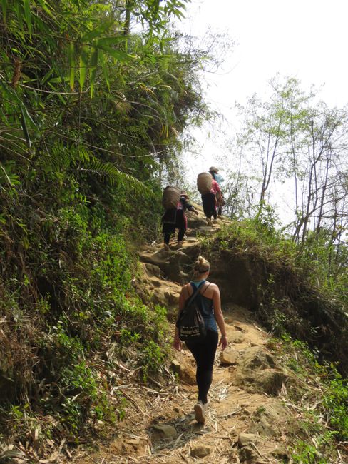 Hiking tour with locals