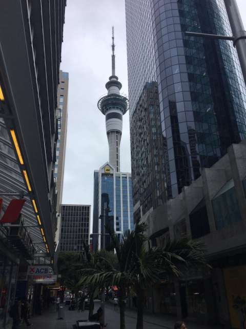 The first days in Auckland...