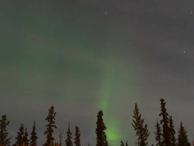 Yukon Quest, Whitehorse & Aurora Borealis