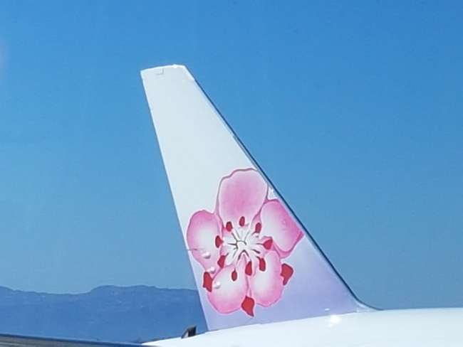 painted to match the sunshine: China Airlines