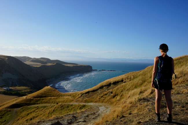 Blick vom Cape Kidnappers