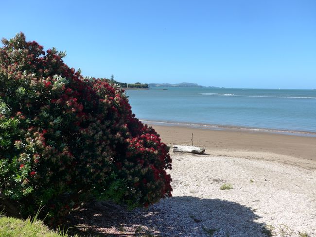 Von Whangarei bis Paihia - Gardens, Battlefield, and Hundertwasser (New Zealand Part 9)