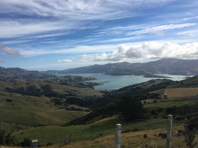 The first days and the first overnight stay in Akaroa