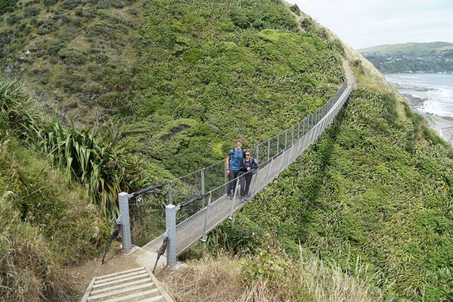 Rotorua, Tongariro, Taranaki, Wellington - New Zealand