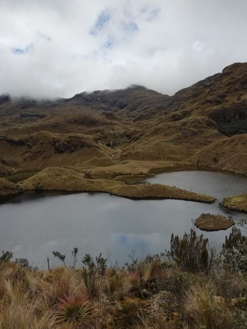 13.12.2019 Cuenca Nationalpark Cajas