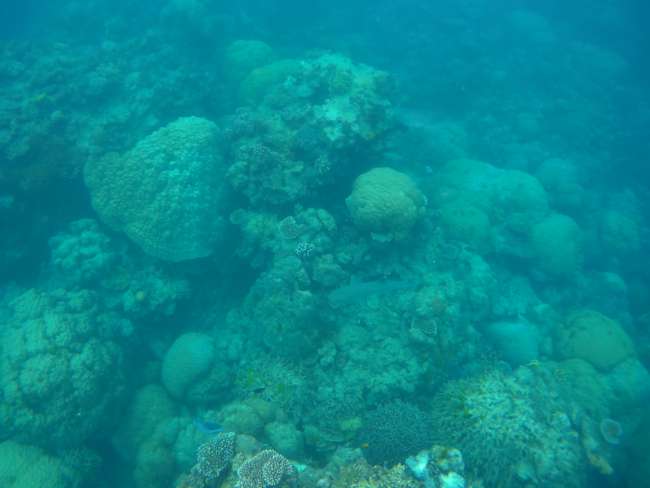 Ukuntywila kwiNorman Reef
