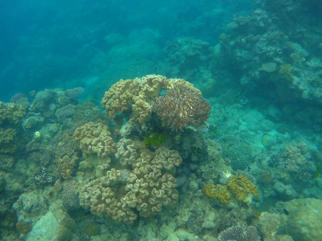 Ukuntywila kwiNorman Reef